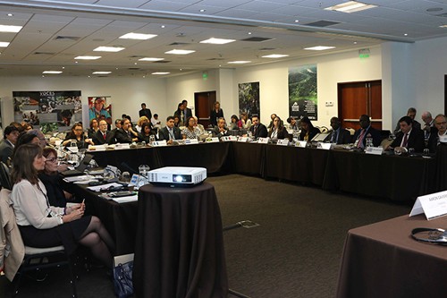 20-paises-de-america-latina-y-el-caribe-se-reunen-para-discutir-sobre-el-futuro-de-los-bosques-en-la-region-2