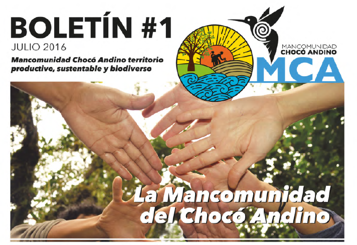 BOLETIN 1 MCA