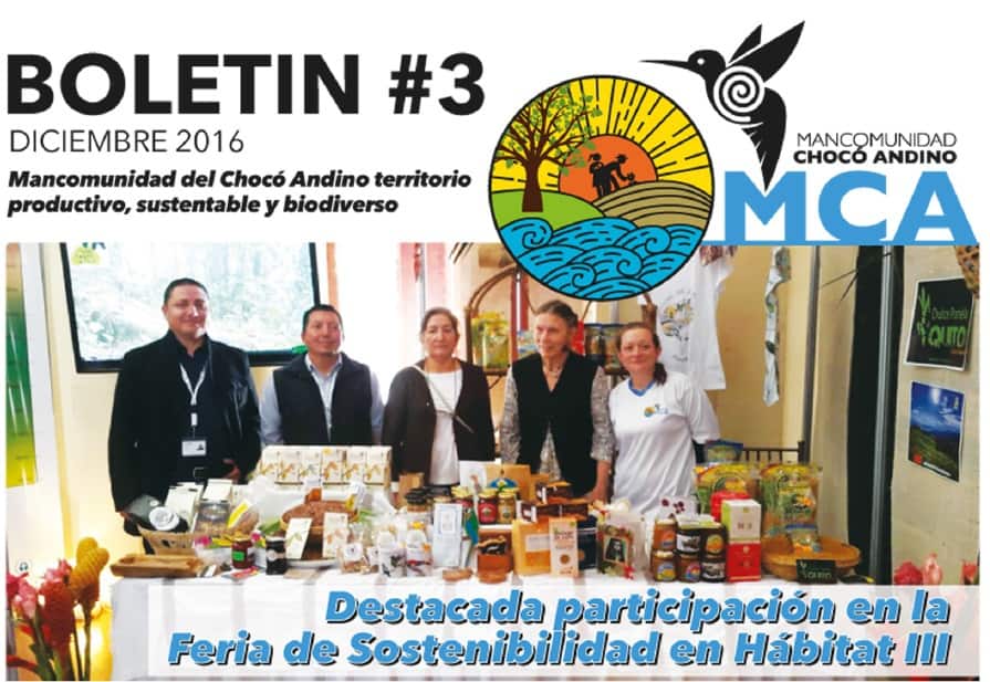 portada boletin 3