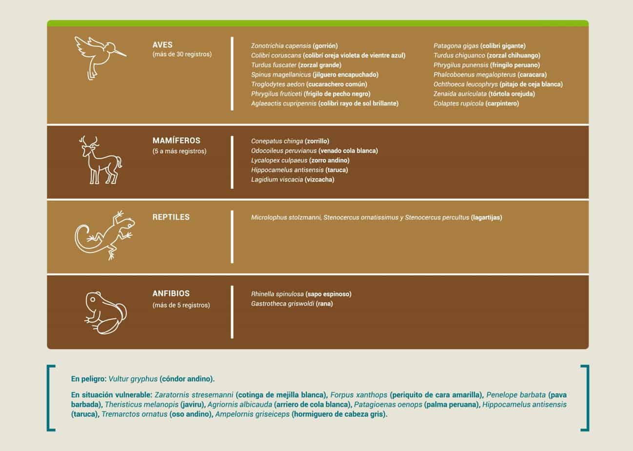 Infografia jpg 10