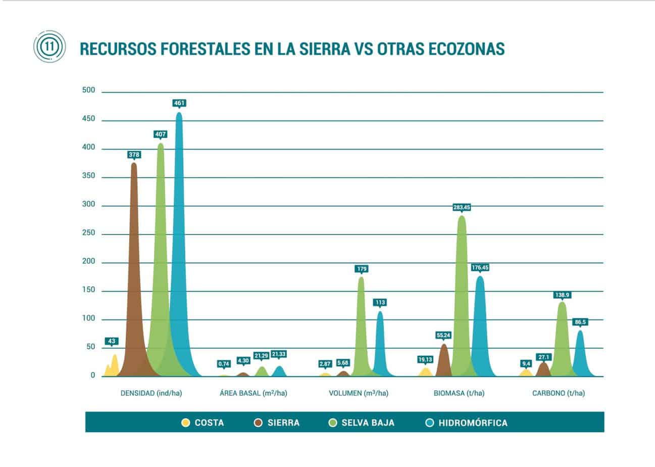 Infografia jpg 11