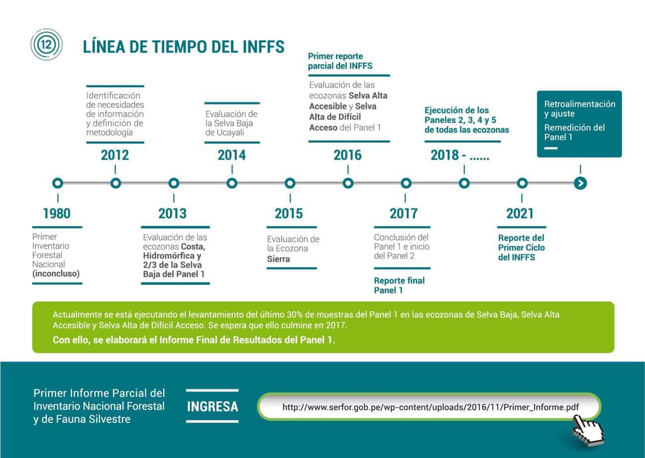 Infografia jpg 12