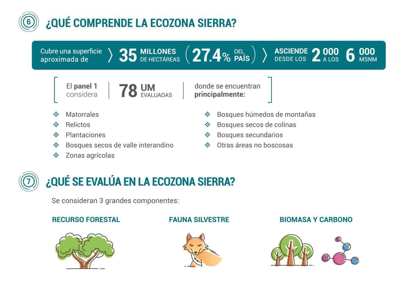 Infografia jpg 7