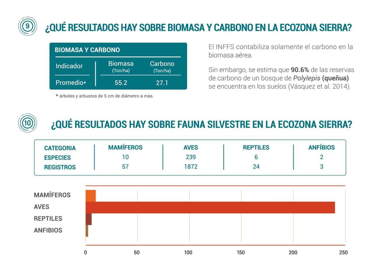 Infografia jpg 9