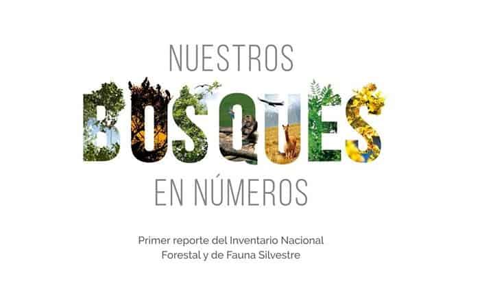 nuestros bosques