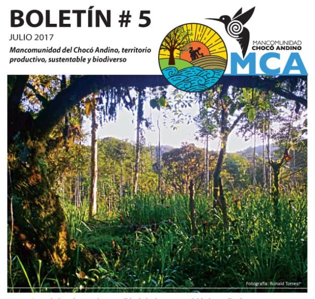 BOLETIN MCA 5 COMPLETO