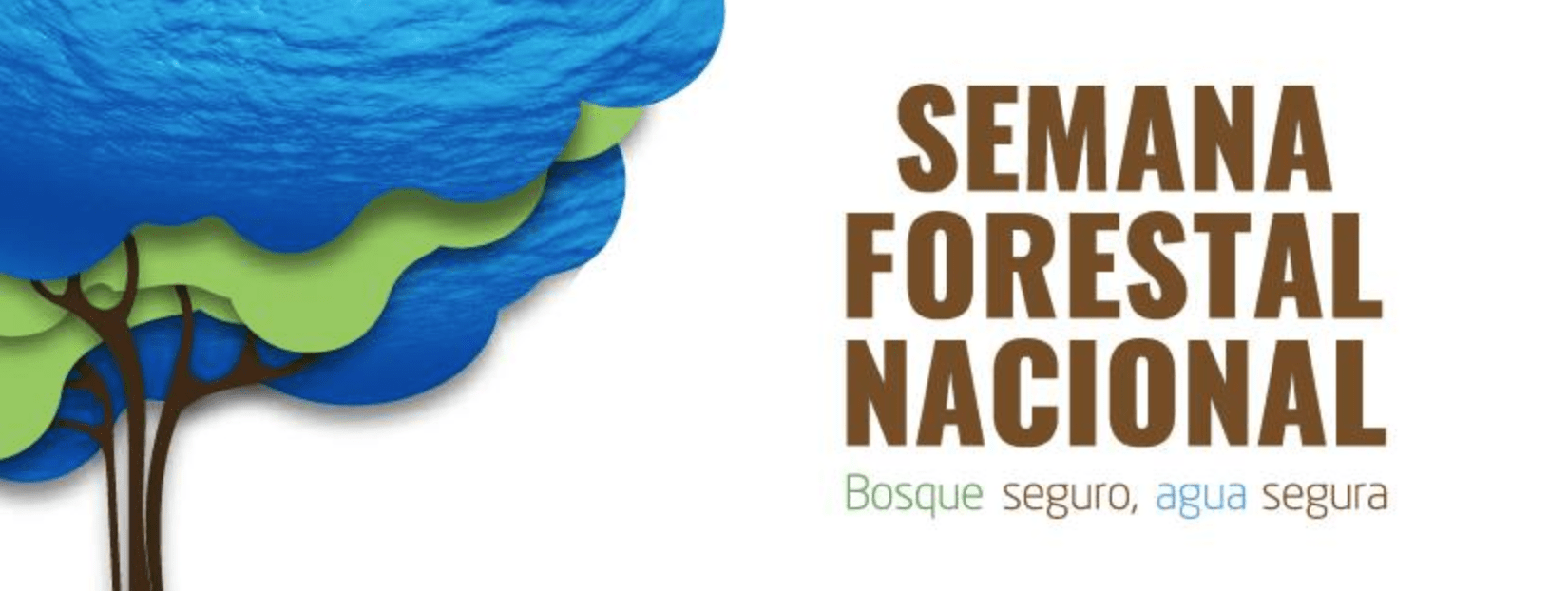 semana forestal nacional