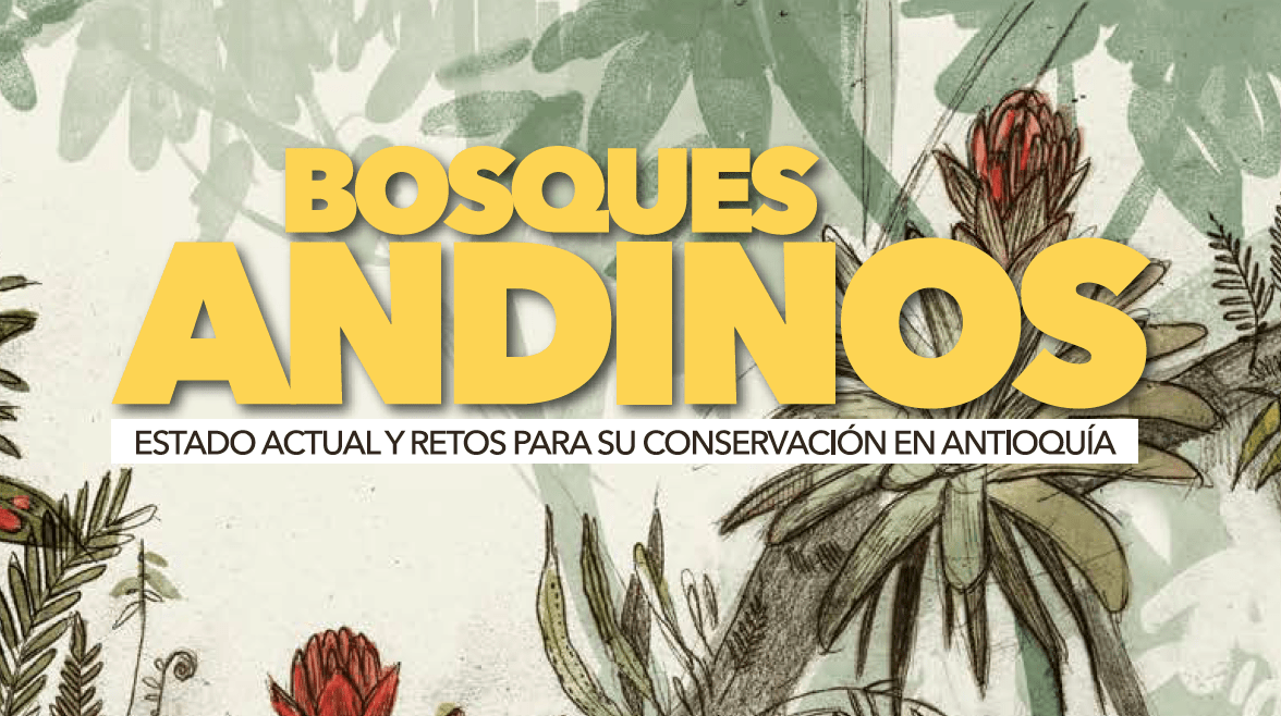 Bosques Andinos Antioquia Medellín