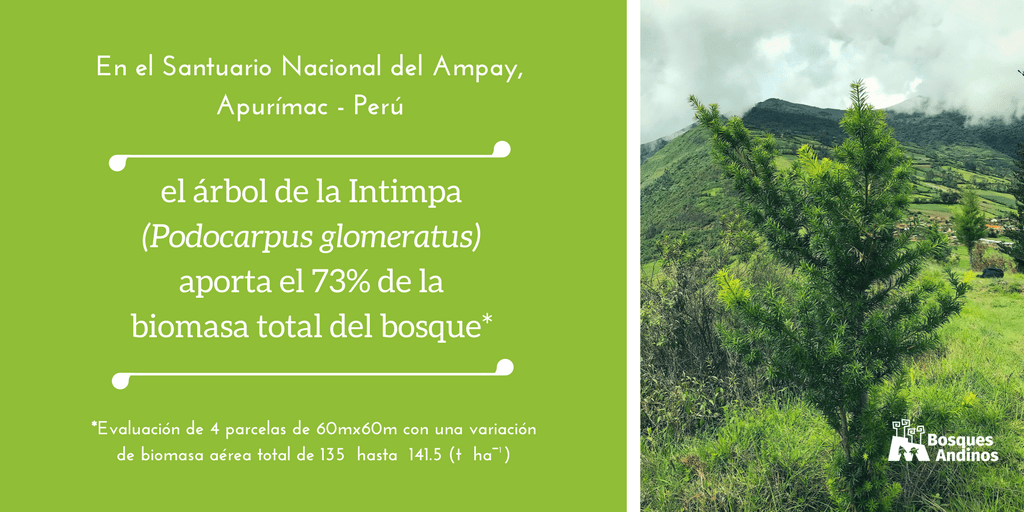 En el SantuarioNacional de Ampay,Apurímac - Perú