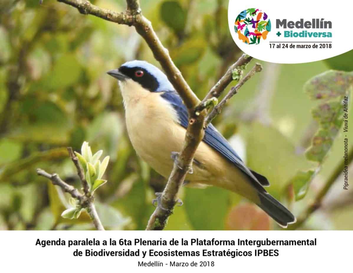 medellín + biodiversa