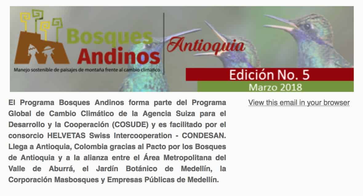 bosques andinos antioquia