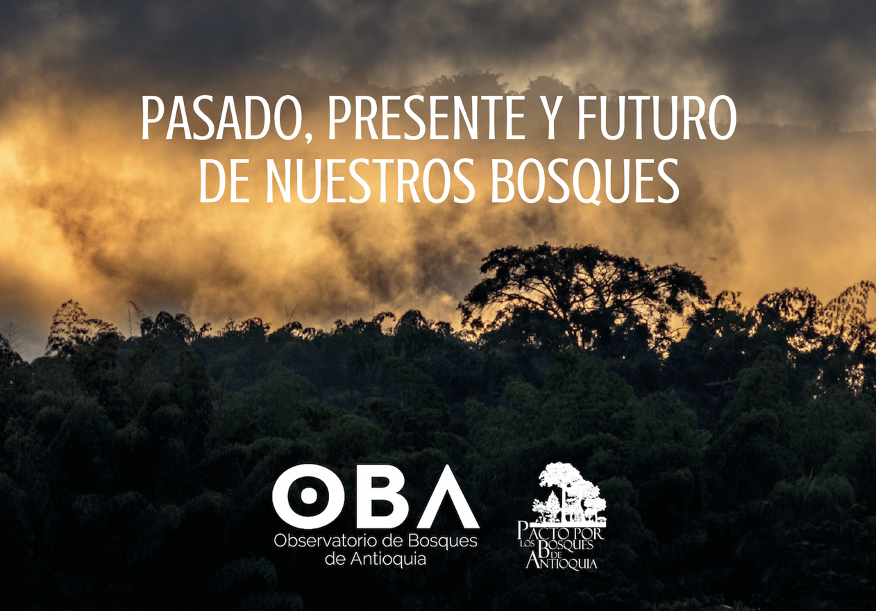 Pasado, presente y futurode nuestros bosques