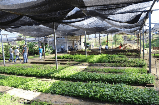 Visita al vivero Municipal de Macará para conocer el Programa de Restauración del MBS 