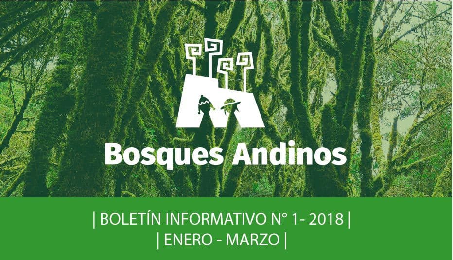 bosques andinos