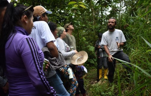 mancomunidad choco andino bosques andinos