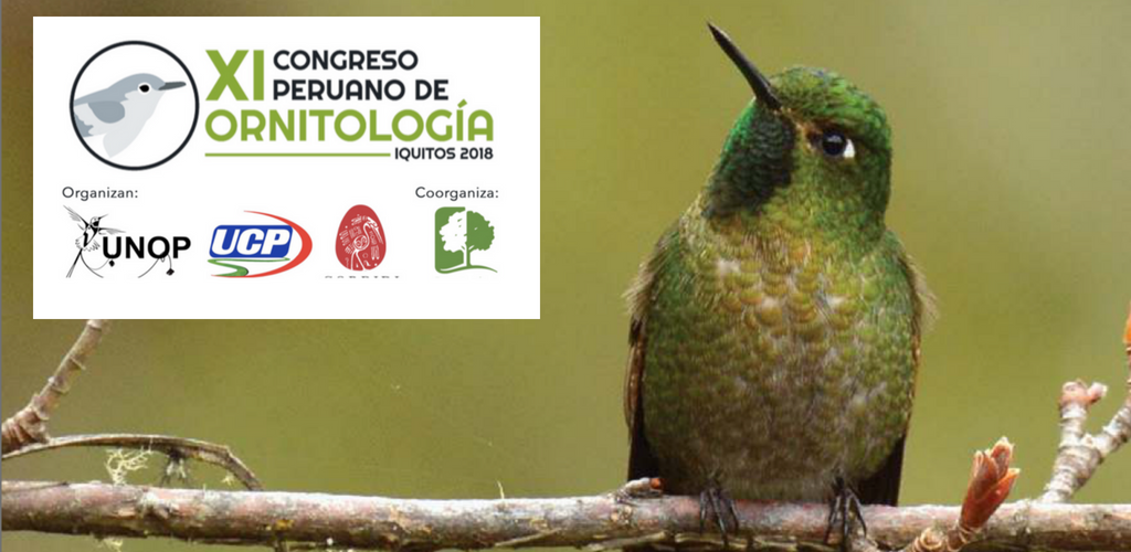 congreso peruano ornitologia