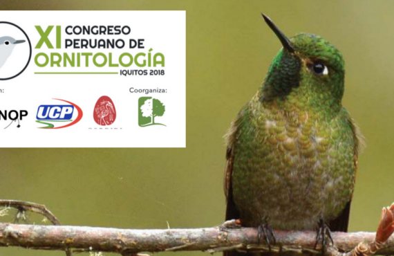 congreso peruano ornitologia