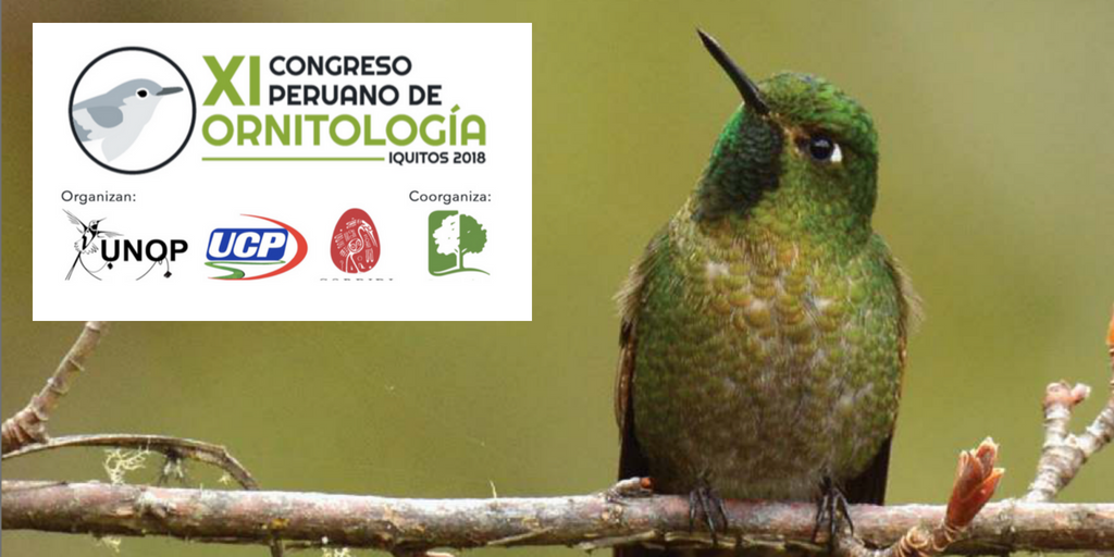 congreso peruano ornitologia