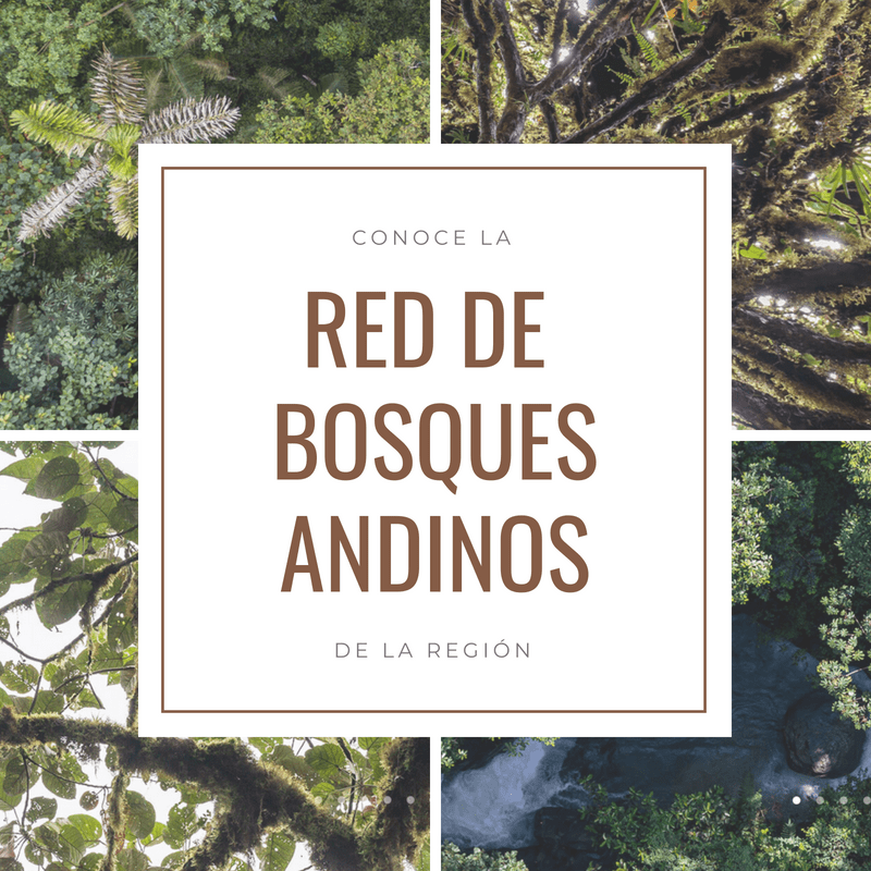 red de bosques andinos
