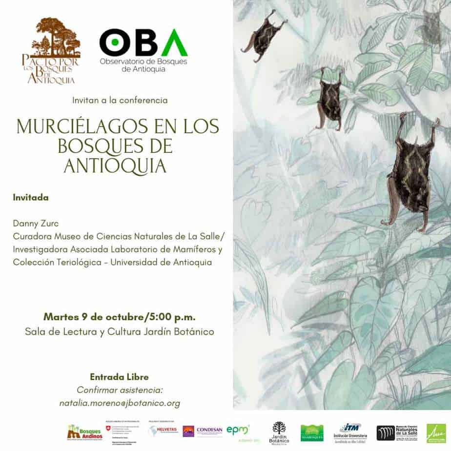 murcielagos bosques andinos antioquia