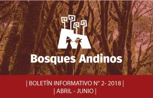 bolestin bosques andinos 2018