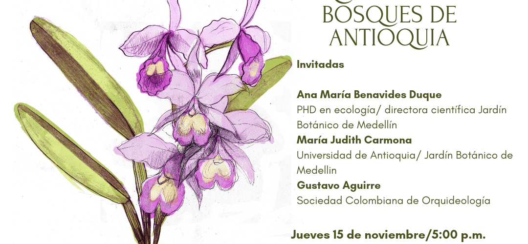 Orquídeas bosques andinos antoquia