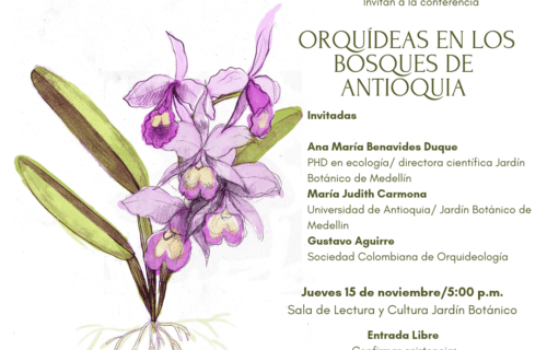 Orquídeas bosques andinos antoquia