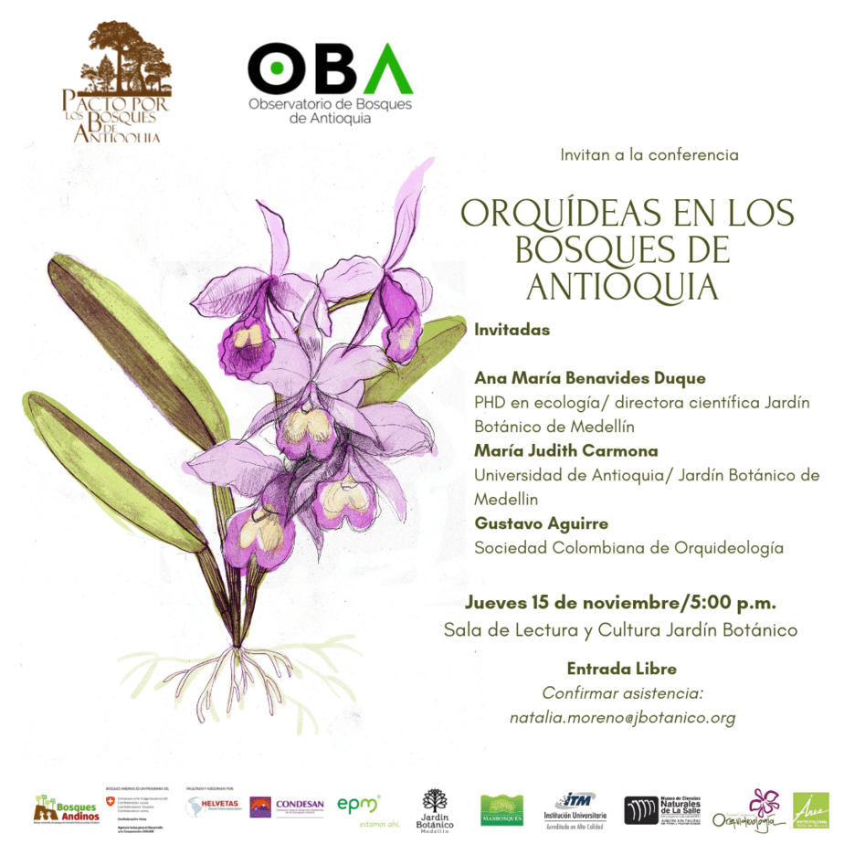 Orquídeas bosques andinos antoquia