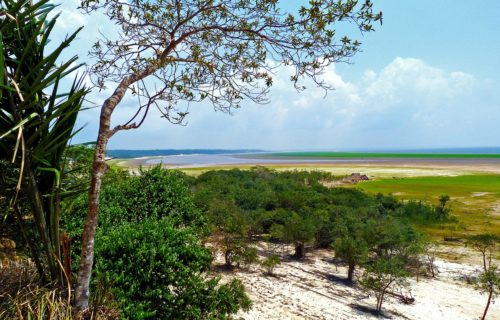 deforestacion amazonas