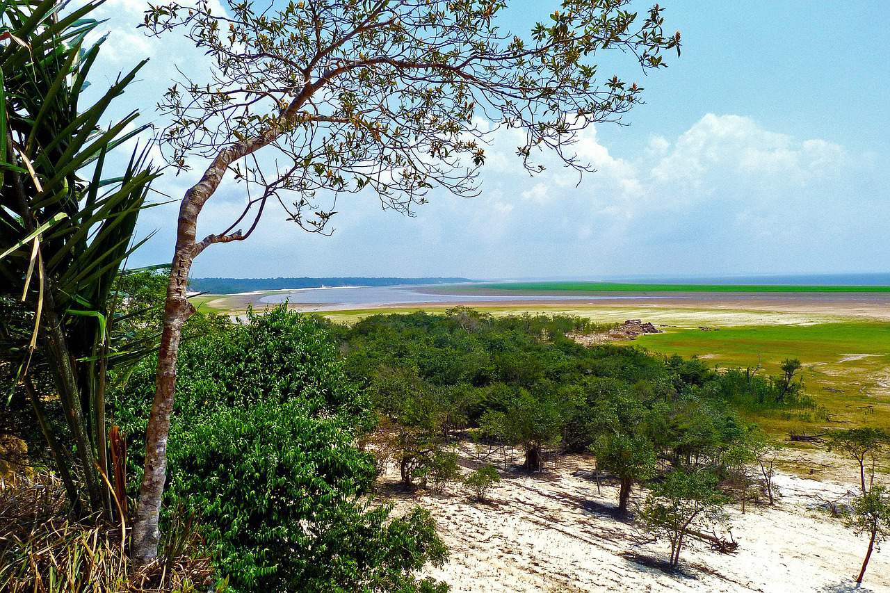 deforestacion amazonas