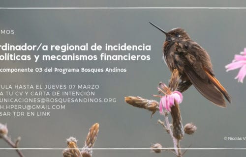 coordinador bosques andinos