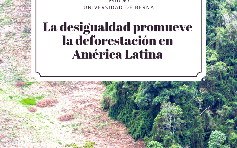 deforestación desigualdad américa latina