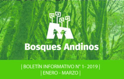 Boletín bosques andinos 2019 1