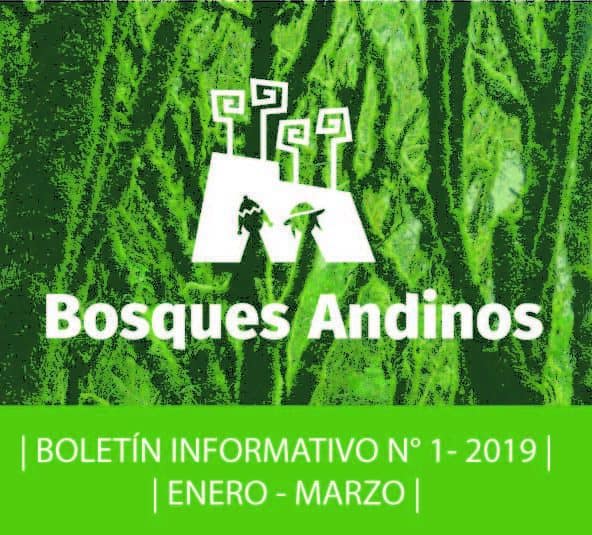 Boletín bosques andinos 2019 1