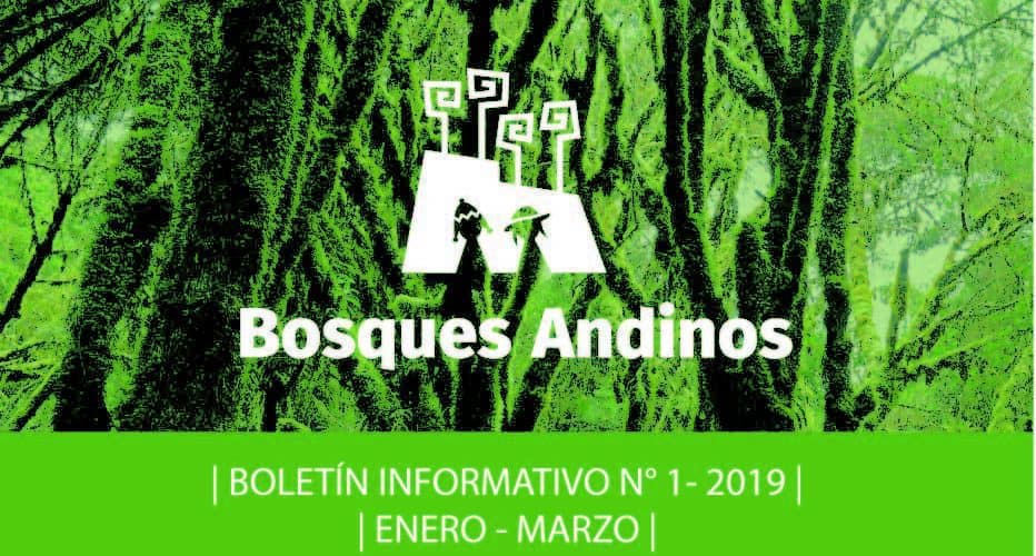 Boletín bosques andinos 2019 1