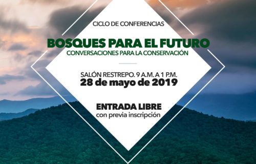 Bosques colombiodiversidad andinos